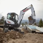 Bobcat